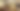 Foto: Shutterstock