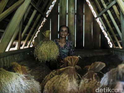 Desa Adat Ini Punya Bank Padi, Begini Wujudnya