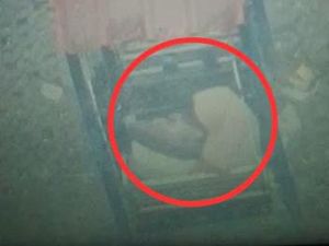 Sejoli Mesum di Sampang Viral Terekam CCTV, Satpol PP Ngaku Belum Tahu