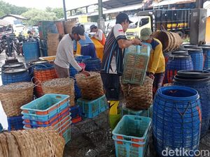 Stok Ikan di Lamongan Turun 50 Persen Dampak Banjir Stok Ikan di Lamongan Turun 50 Persen Dampak Banjir