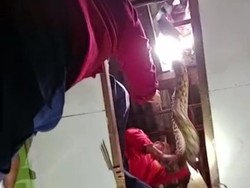 Ular Piton 3 Meter di Kendari Bersarang di Rumah Kosong, Damkar Evakuasi
