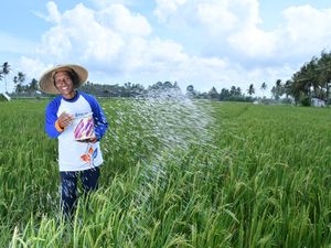 Program Makmur Pupuk Kaltim Dorong Petani Beralih ke Pupuk Nonsubsidi