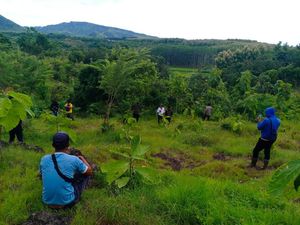 PT BSI Berhasil Reboisasi Lahan 314,98 Hektare di Bondowoso