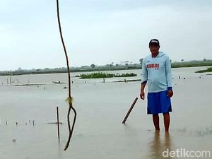 Rugi Rp 750 Juta, Petambak Ikan Karawang Gigit Jari gegara Banjir