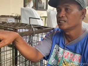 Bingungnya Pengamen Desa Topeng Monyet Setelah Pensiun untuk Selamanya