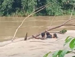 Wanita Pandeglang Lompat ke Sungai, Ngaku Dapat Bisikan dari Nenek-nenek