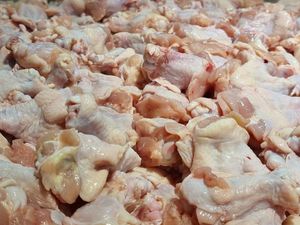 Pedagang Mogok Jualan, Menu Ayam di Warteg Cirebon Hilang Pedagang Mogok Jualan, Menu Ayam di Warteg Cirebon Hilang