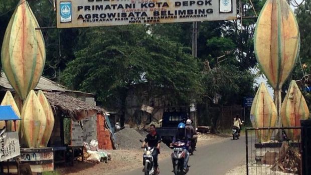 Agrowisata Belimbing Dewa Agrowisata Belimbing Dewa