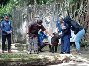 BBKSDA Jabar Soroti Keselamatan Hewan di Tengah Sengketa Bandung Zoo