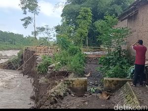 Bantaran Sungai Probolinggo Terkikis Banjir, 32 Hektare Sawah Terancam Puso