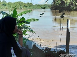 Kondisi Terkini Bengawan Solo di Bojonegoro, Nyaris Sentuh Siaga Merah