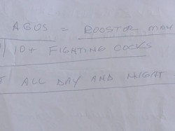 Turis Asing di Bali Bikin Petisi gegara Ayam Berkokok Waktu Subuh