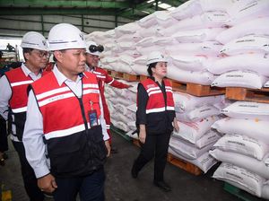 Tinjau Pabrik Pupuk di Sumsel Puan Ingatkan Pesan Bung Karno