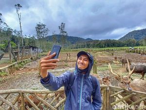 Cuaca Ekstrem Bikin Kunjungan Wisata Kemah Rancaupas Menurun