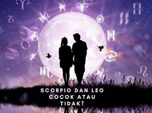 Zodiak Scorpio dan Leo Cocok atau Tidak Dalam Percintaan? Ini Jawabannya Zodiak Scorpio dan Leo Cocok atau Tidak Dalam Percintaan? Ini Jawabannya