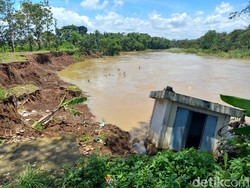 Tergerus Bengawan Solo, Belasan Lahan di Sukoharjo Dinyatakan Musnah