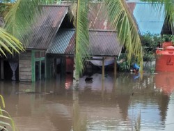 Banjir di Bengkayang Kalbar, Sekolah Terendam-4.033 Jiwa Terdampak