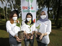 Jurus BNI Dukung Pemerintah Capai Zero Carbon di 2060