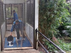 Siasat Bunbin Bandung Cegah Masuknya Flu Burung