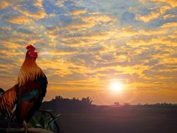 4 Spot Menikmati Sunrise Pertama 2024 di Surabaya