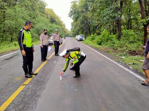 Moge Adu Banteng dengan Bus di Situbondo, Pengendara yang Tewas Mau ke Bali Moge Adu Banteng dengan Bus di Situbondo, Pengendara yang Tewas Mau ke Bali