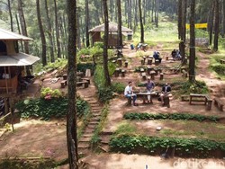 Tempat Ngopi Asyik di Tengah Hutan Pinus Ciamis