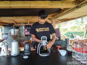 Ngopi Asyik di Hutan Pinus Ciamis, Kopinya dari Perkebunan Lokal! Ngopi Asyik di Hutan Pinus Ciamis, Kopinya dari Perkebunan Lokal!