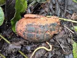 Saat Pria Mamasa Bawa Granat Nanas ke Rumah gegara Dikira Cokelat Kering