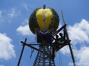 Melihat KenDuren: Event Berebut Durian Gratis di Jombang, Digelar Besok! Melihat KenDuren: Event Berebut Durian Gratis di Jombang, Digelar Besok!