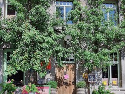 Ini Kota Terkecil di Dunia tapi Cantik Bak Negeri Dongeng