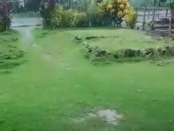 Hujan Es Batu di Gorontalo Bikin Warga Geger, BMKG Beri Penjelasan