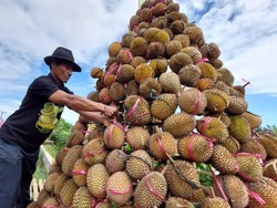 Festival Durian Medowo Akan Dijadikan Agenda Tahunan di Kediri