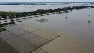 Foto Udara Banjir Rendam Sawah di Kabupaten Bekasi