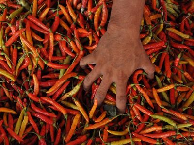 Gegara Cuaca Ekstrem, Harga Cabai Rawit di Bengkulu Naik