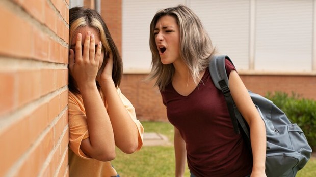 The reasons for the perpetrators of bullying are the dangers and how to overcome them