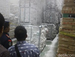 KKP Segel Gudang Impor Hasil Laut dari China, Isinya 100 Ton Ikan Salem