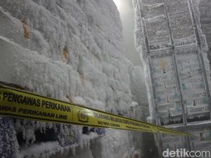 100 Ton Ikan Salem Impor dari China di Gudang Juwana Pati Disegel!