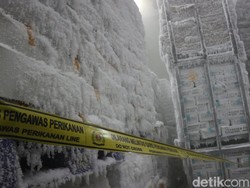 100 Ton Ikan Salem Impor dari China di Gudang Juwana Pati Disegel!