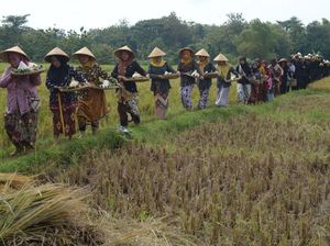 Melihat Tradisi Kirab Merti Desa Godean di Boyolali