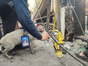 Kucing Ini Ditemukan Selamat di Reruntuhan Kebakaran Depo Plumpang