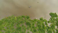 Waduk Selorejo Malang Dipenuhi Eceng Gondok