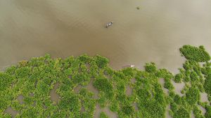 Waduk Selorejo Malang Dipenuhi Eceng Gondok