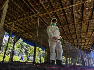 Misteri Kematian Pertama pada Manusia Akibat H5N2, Tertular dari Makanan? Misteri Kematian Pertama pada Manusia Akibat H5N2, Tertular dari Makanan?