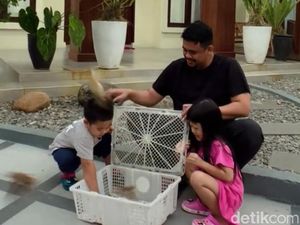 Tingkah Lucu Ketua Nahyan Saat Lepas Roger dan Kawan-kawan Tingkah Lucu Ketua Nahyan Saat Lepas Roger dan Kawan-kawan