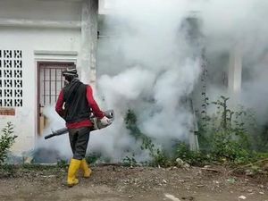 34 Warga Mamuju Terjangkit DBD Dalam 2 Bulan Terakhir, Didominasi Anak-anak