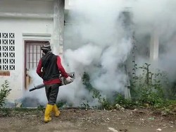 34 Warga Mamuju Terjangkit DBD Dalam 2 Bulan Terakhir, Didominasi Anak-anak