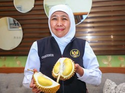 4 Cita Rasa Durian Musang King Menurut Gubernur Jatim
