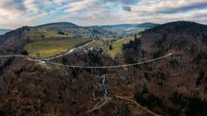 Jerman Bangun Jembatan Gantung untuk Wisata di Hutan Hitam