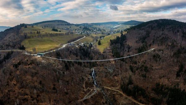 Jerman Bangun Jembatan Gantung untuk Wisata di Hutan Hitam