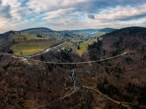 Jerman Bangun Jembatan Gantung untuk Wisata di Hutan Hitam
